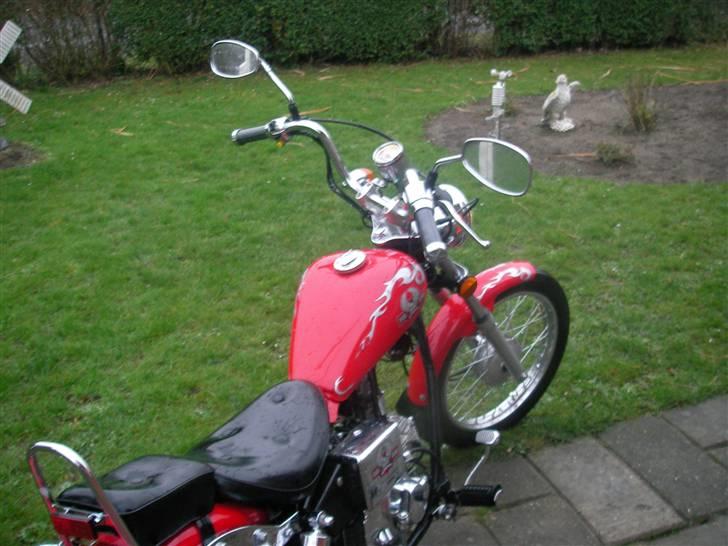 Regal Raptor SOLGT billede 6