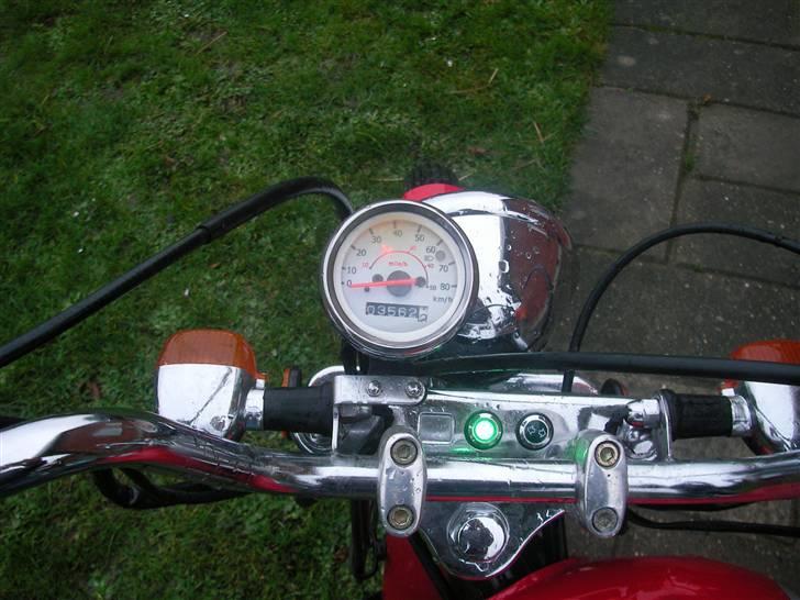 Regal Raptor SOLGT billede 7