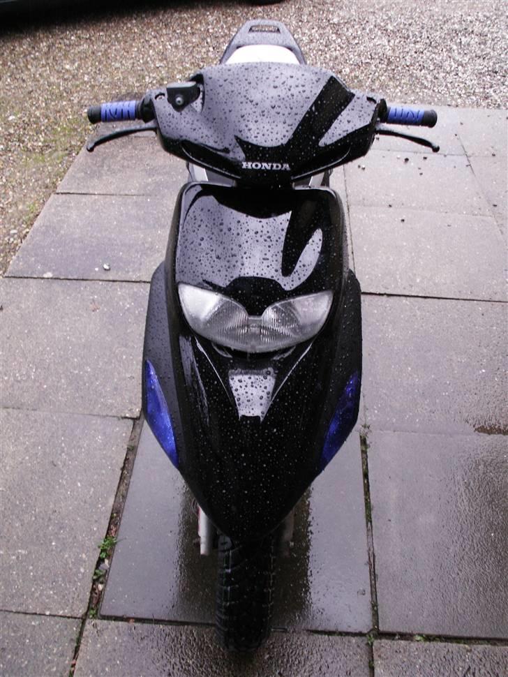 Honda Sfx ----solgt---- - Nyt som den står nu billede 4