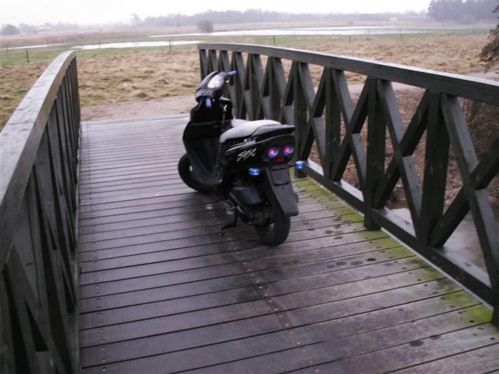 Honda Sfx ----solgt---- - Nyt - som den står nu billede 12