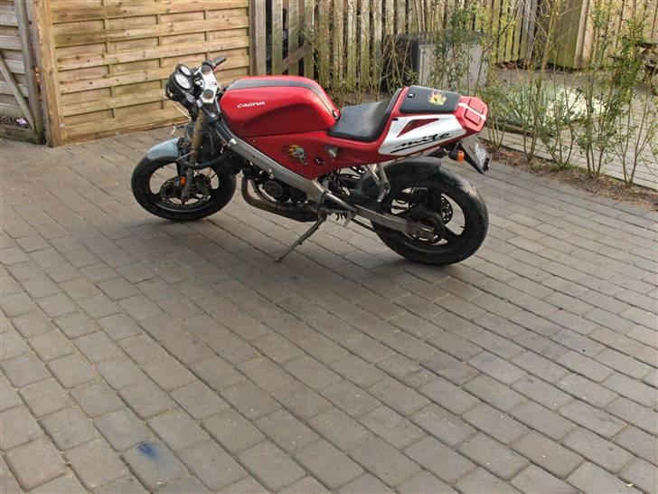 Cagiva mito LC DD byttet til ssm billede 13
