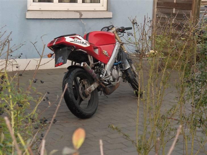 Cagiva mito LC DD byttet til ssm billede 15