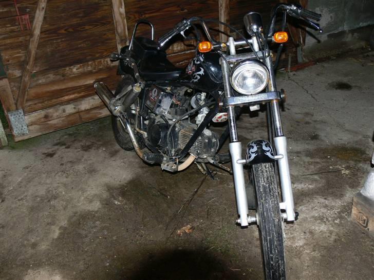 Regal raptor.solgt billede 1