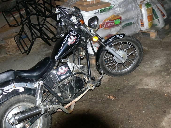 Regal raptor.solgt billede 3