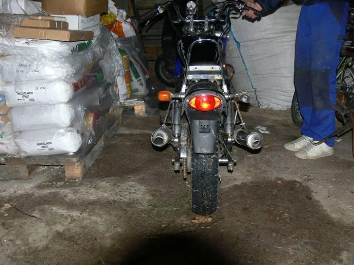 Regal raptor.solgt billede 4