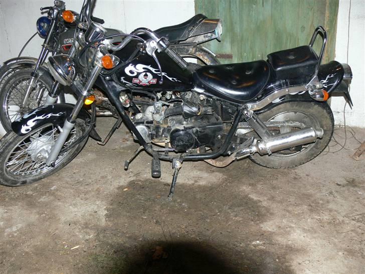 Regal raptor.solgt billede 5