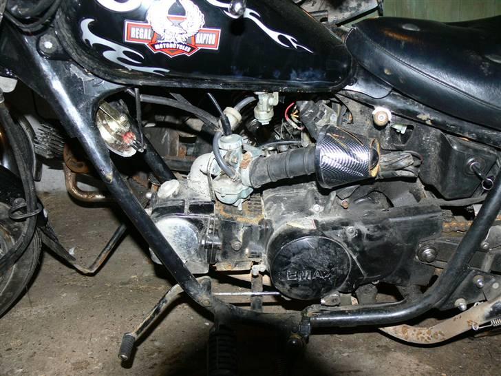 Regal raptor.solgt billede 6