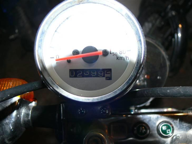 Regal raptor.solgt billede 7