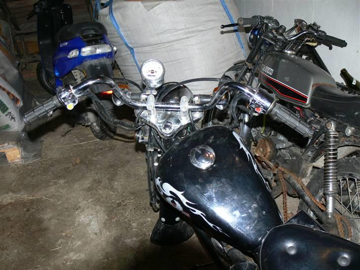 Regal raptor.solgt billede 8