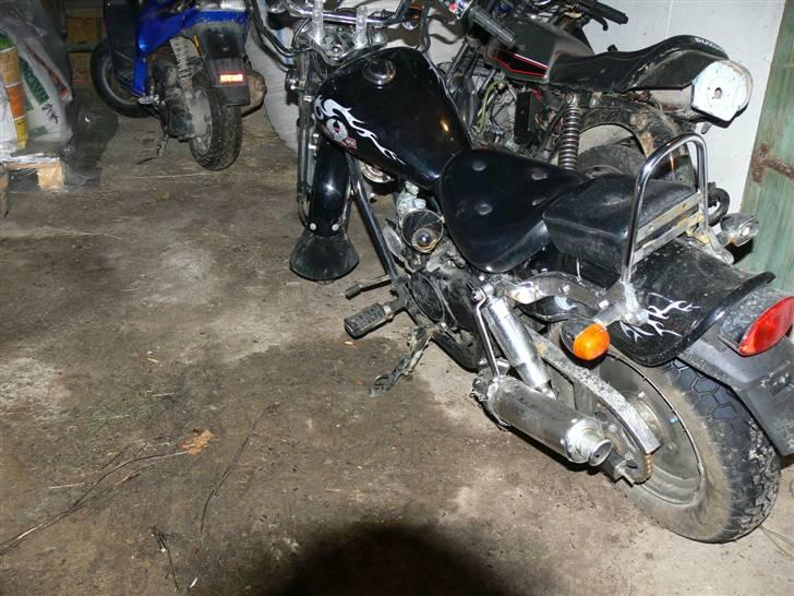 Regal raptor.solgt billede 10