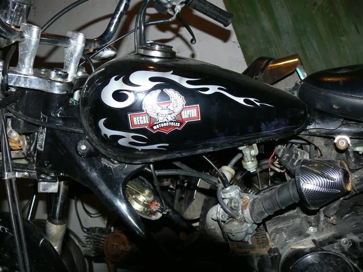 Regal raptor.solgt billede 11