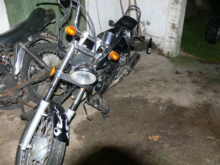 Regal raptor.solgt billede 13