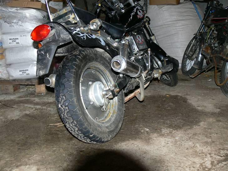 Regal raptor.solgt billede 14