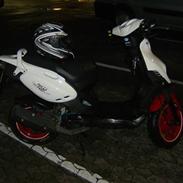 PGO pmx sport no fear