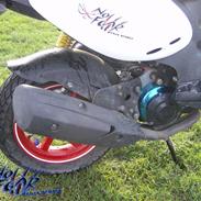 PGO pmx sport no fear