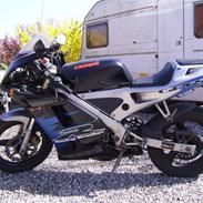 Derbi Gpr50