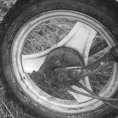 Yamaha passola !!Solgt!!