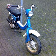 Suzuki FZ50 // SOLGT //