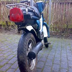 Suzuki FZ50 // SOLGT //