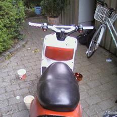 Adly Falcon - (SOLGT)