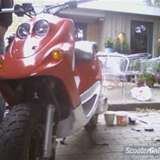 Adly Falcon - (SOLGT)