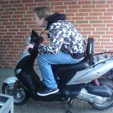 Kymco Agility 50