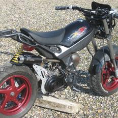 Suzuki street magic ((byttet))