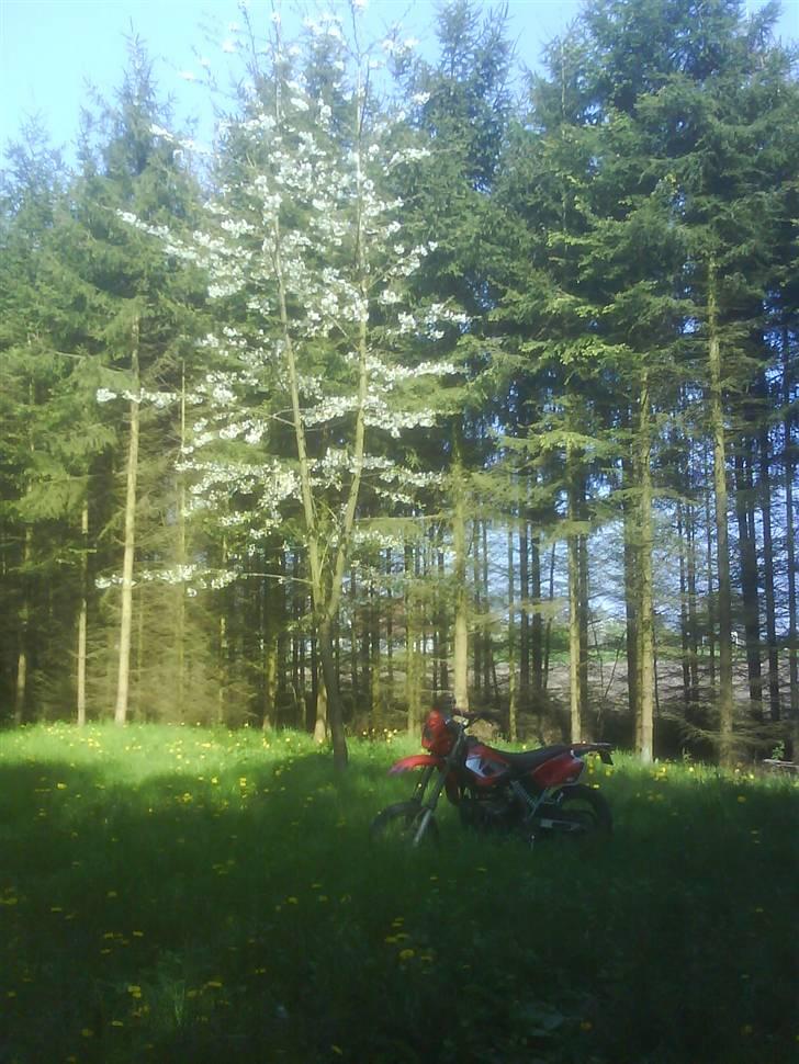 Skyteam st50-3 ac/oc ÐÐ byttet billede 15