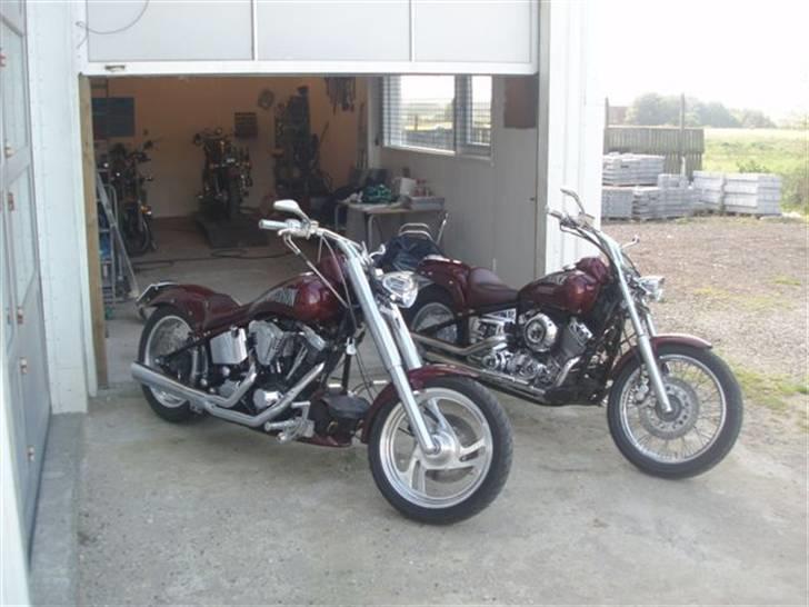 Suzuki Street Magic (SOLGT) billede 15