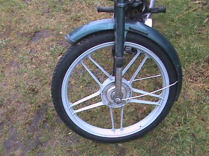 Puch (nakket)  billede 4