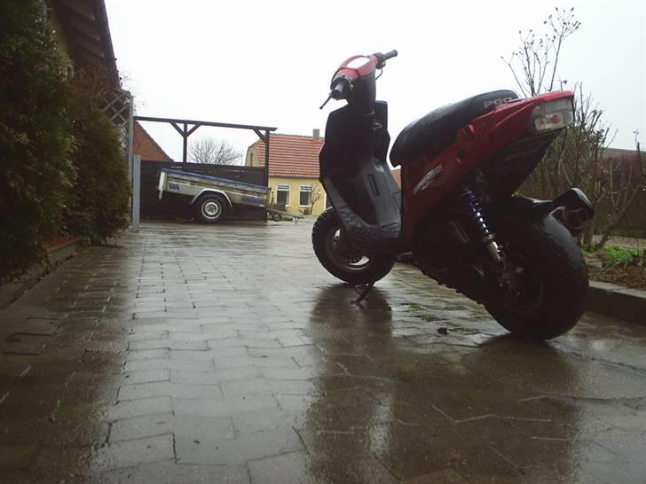 PGO Hot 50 (Solgt) billede 6