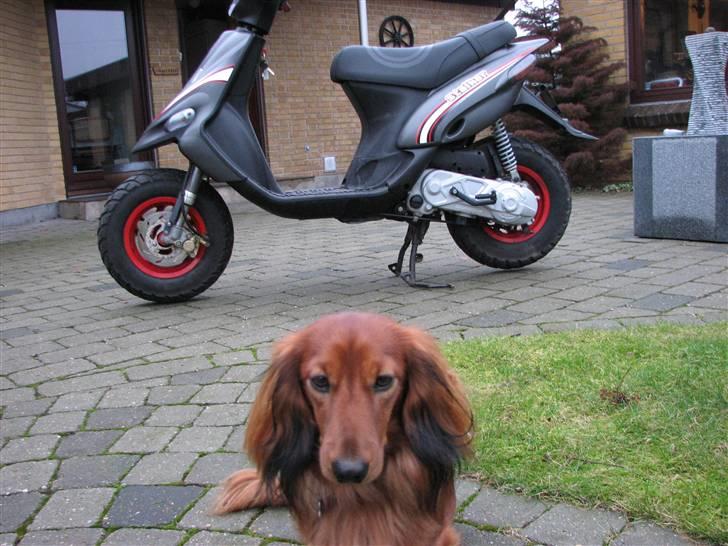 Gilera Stalker SOLGT - 11-12-07 billede 10