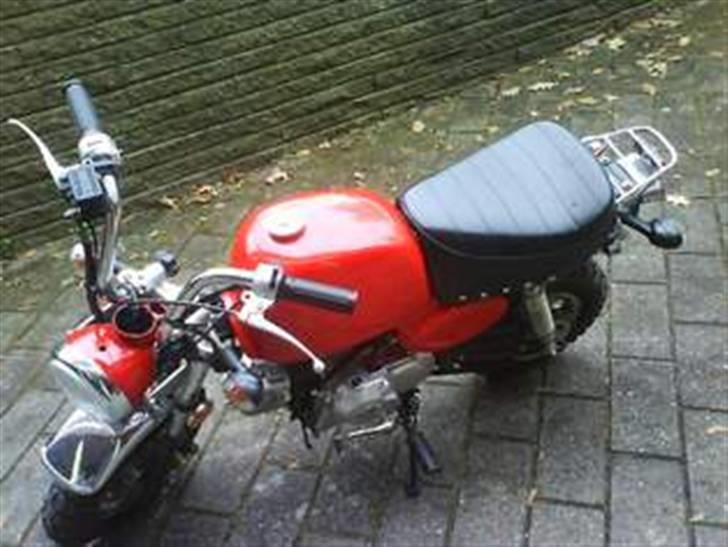 Skyteam Gorilla solgt billede 1