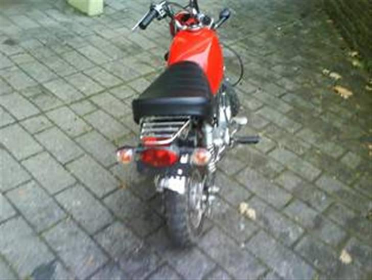 Skyteam Gorilla solgt billede 5