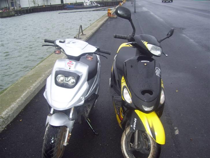 PGO Hot 50 billede 4