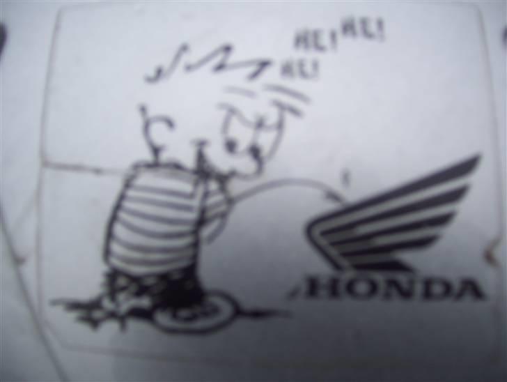 PGO Hot 50 billede 6