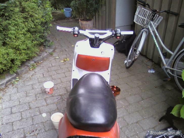 Adly Falcon - (SOLGT) - (Billeder lånt af tidligere ejer) billede 2