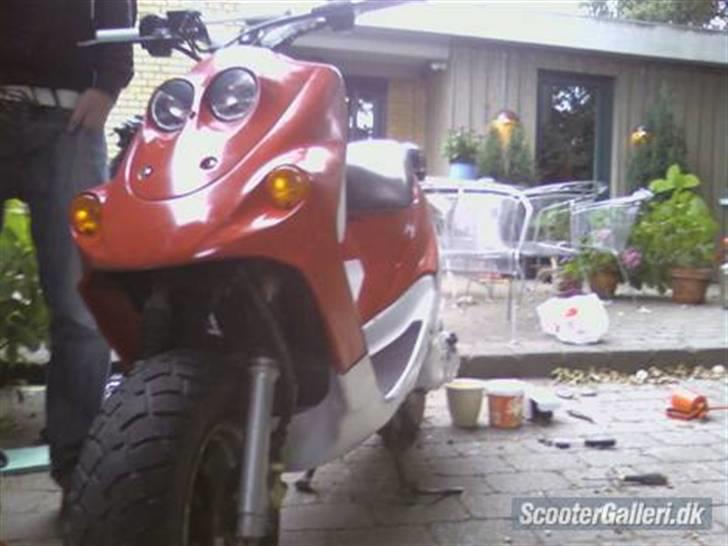 Adly Falcon - (SOLGT) - (Billeder lånt af tidligere ejer) billede 3