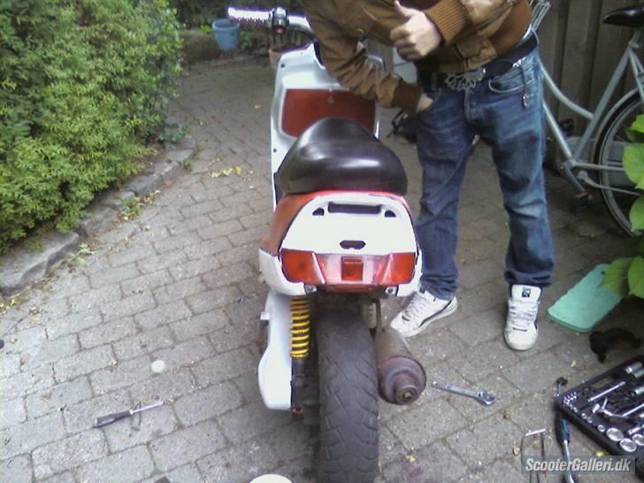 Adly Falcon - (SOLGT) - (Billeder lånt af tidligere ejer) billede 4