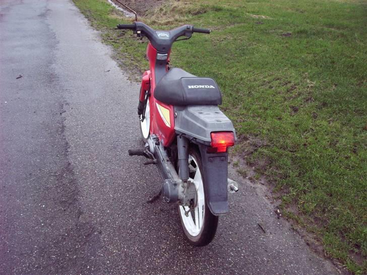 Honda wallaro *solgt* billede 2