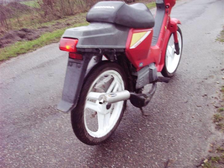 Honda wallaro *solgt* billede 3