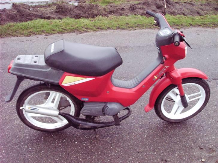 Honda wallaro *solgt* billede 5