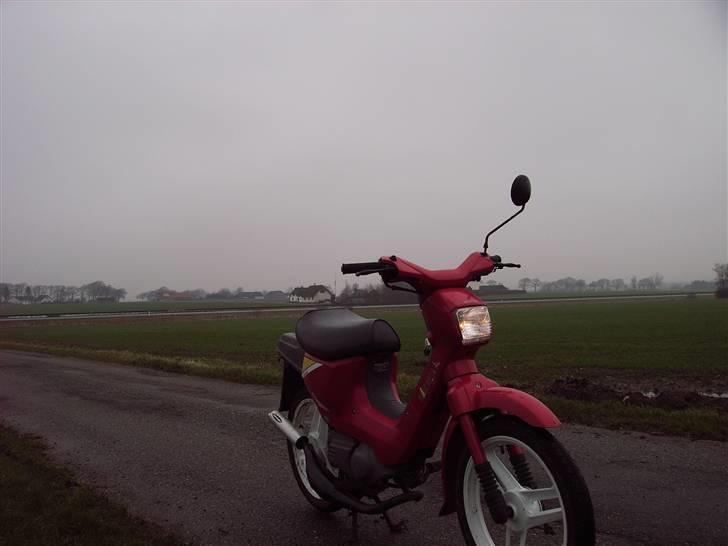 Honda wallaro *solgt* billede 7