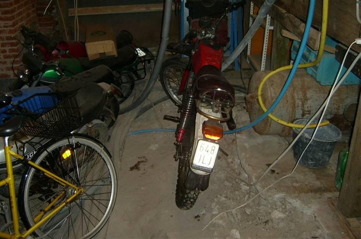 Puch T 50-4 Cobra t - Cobra´en på sin plads i garagen. billede 1