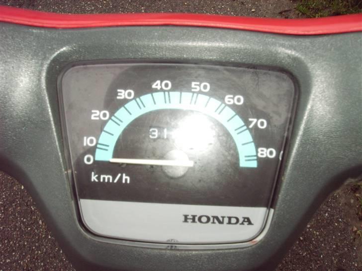 Honda wallaro *solgt* billede 11