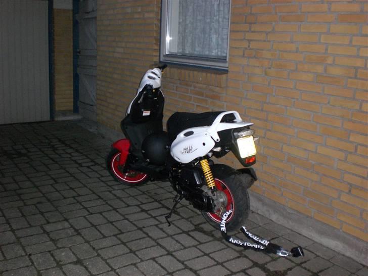 PGO pmx No Fear billede 3