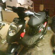 PGO Bick max
