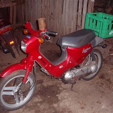 Honda Wallaroo