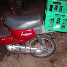 Honda Wallaroo