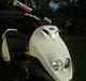 PGO PMX Sport No Fear